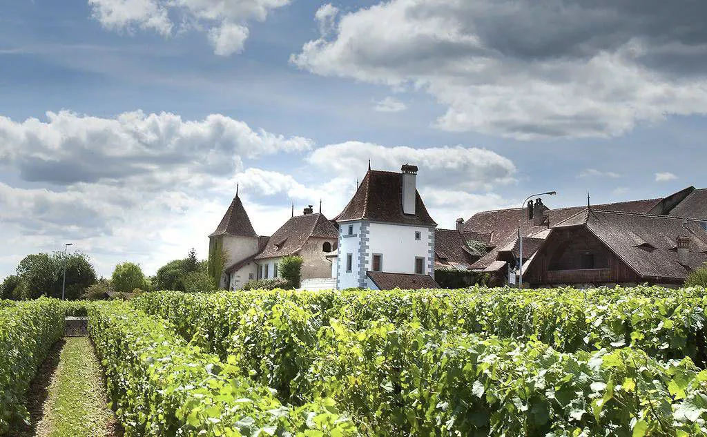 Château de Duillier face côté lac