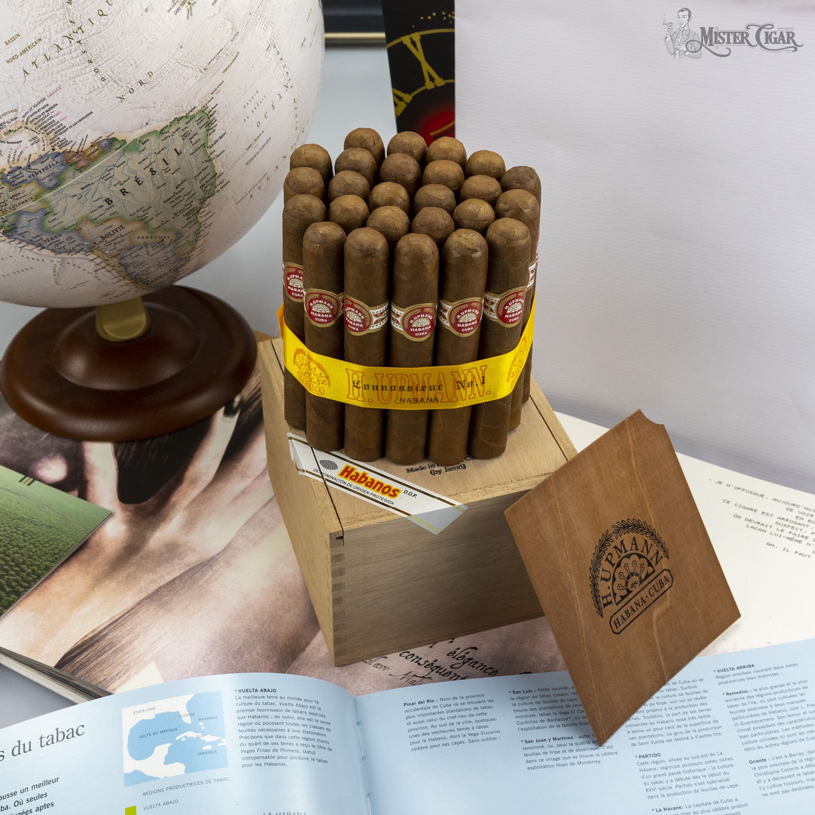 site internet mister cigar