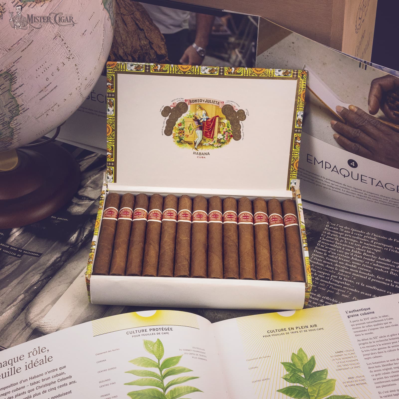 site internet mister cigar