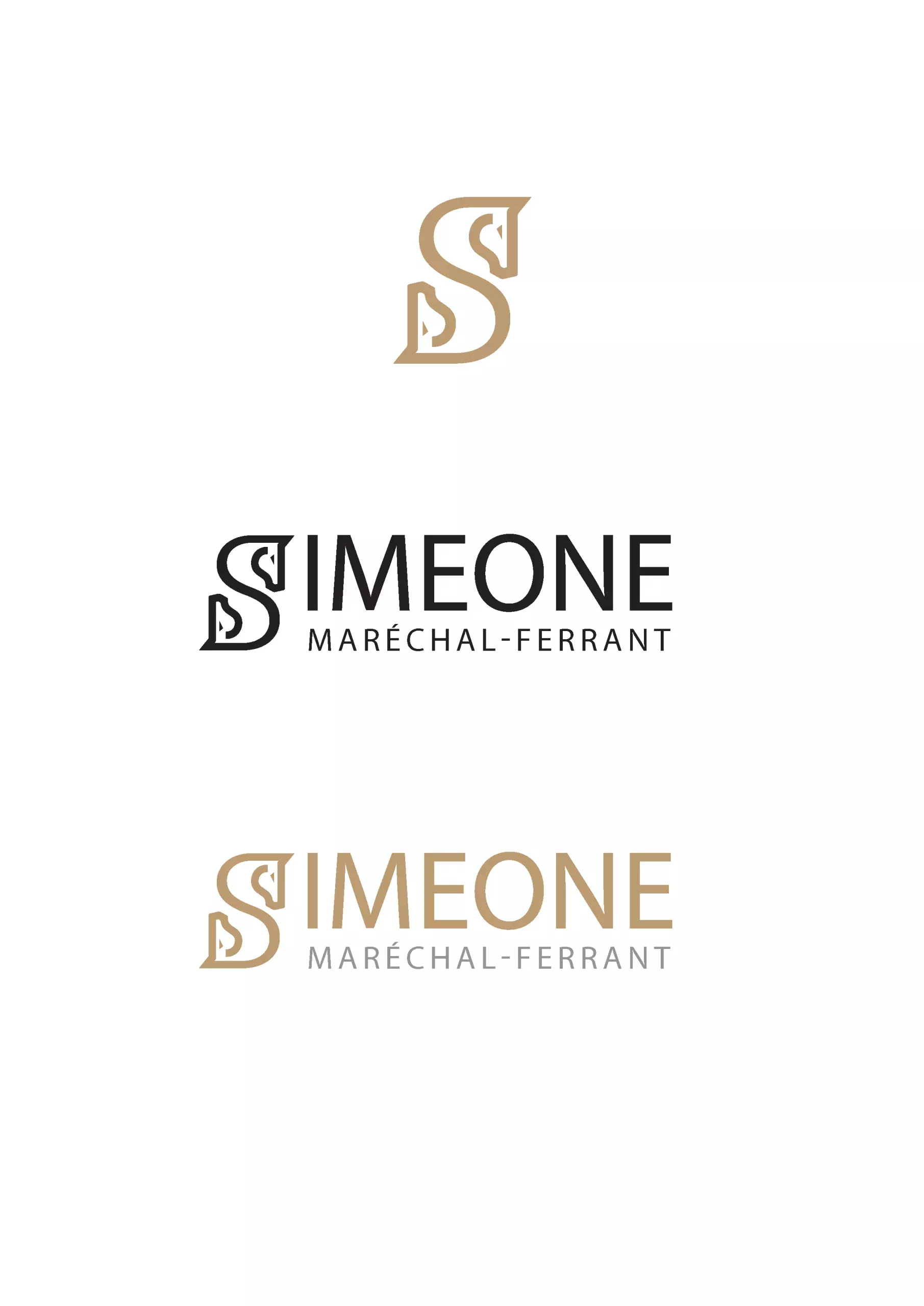 Logo Sandro Simeone