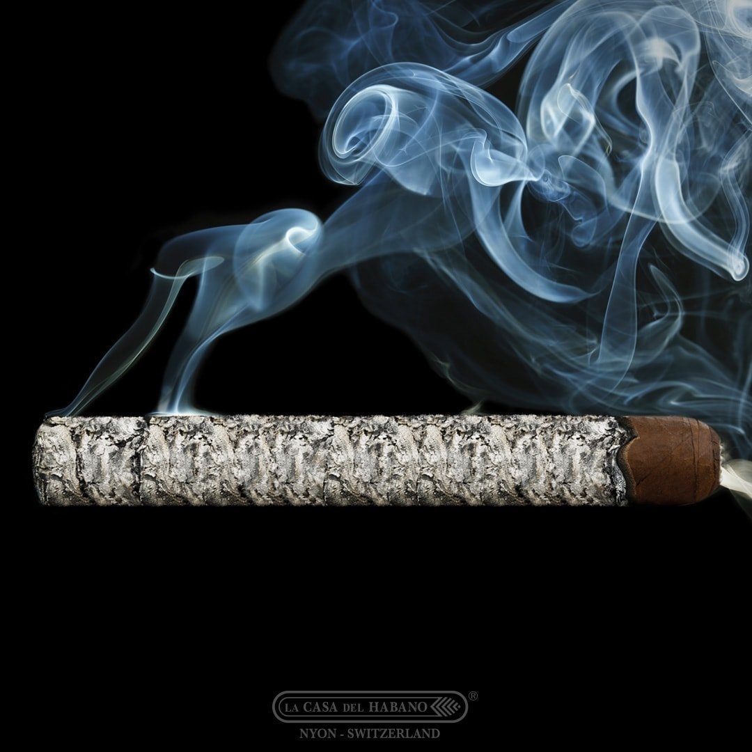 Shooting cigarpassion par David Lartigue