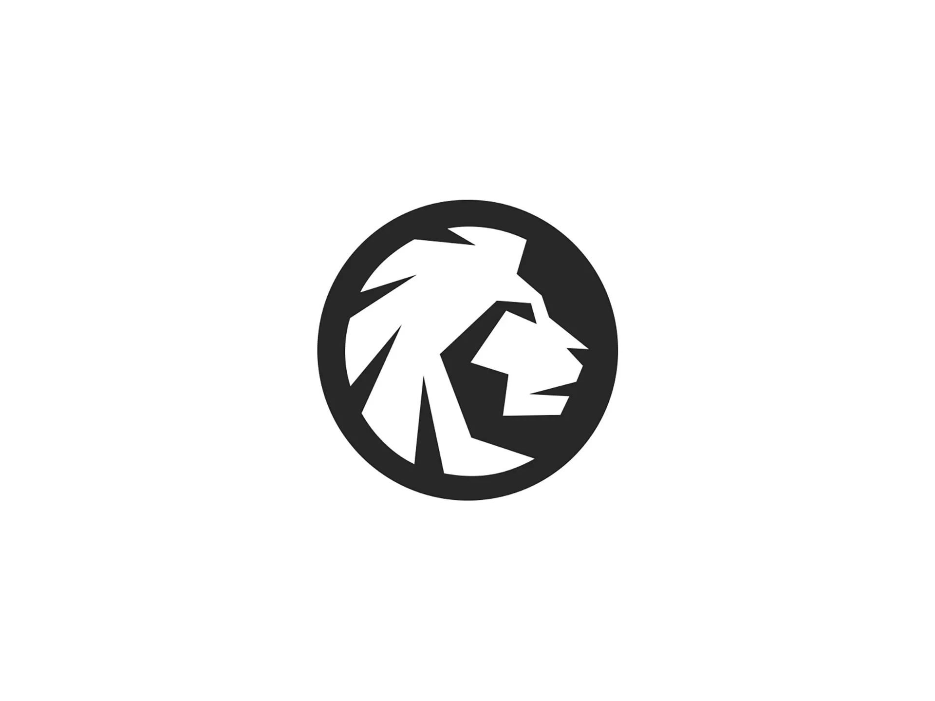 développement piste logo younglifts