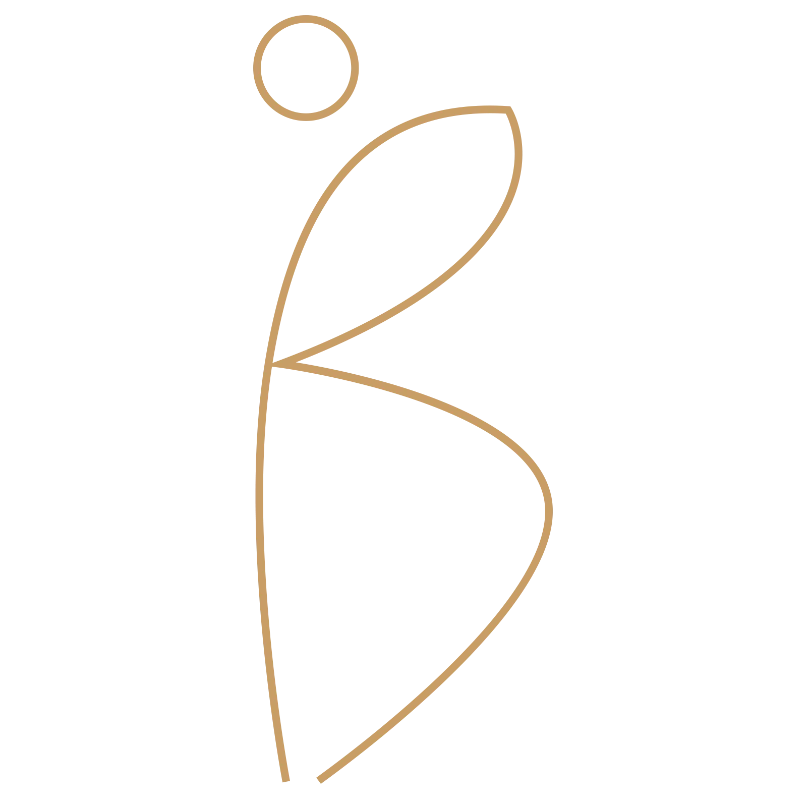 Logo Boffa Su Jiang therapies naturelles