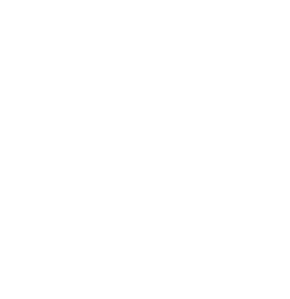 Logo Rudi Scheerlinck par Creavolution